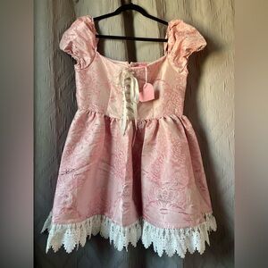 Dolls Kill/Sugar Thrillz ‘Sweet Smitten Embraces’ Corset dress, sz XXL